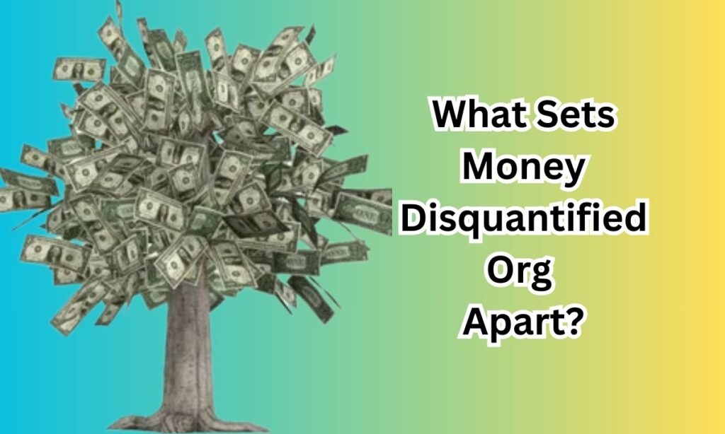 What Sets Money Disquantified Org Apart?