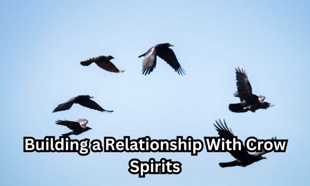 Building a Relationship With Crow Spirits