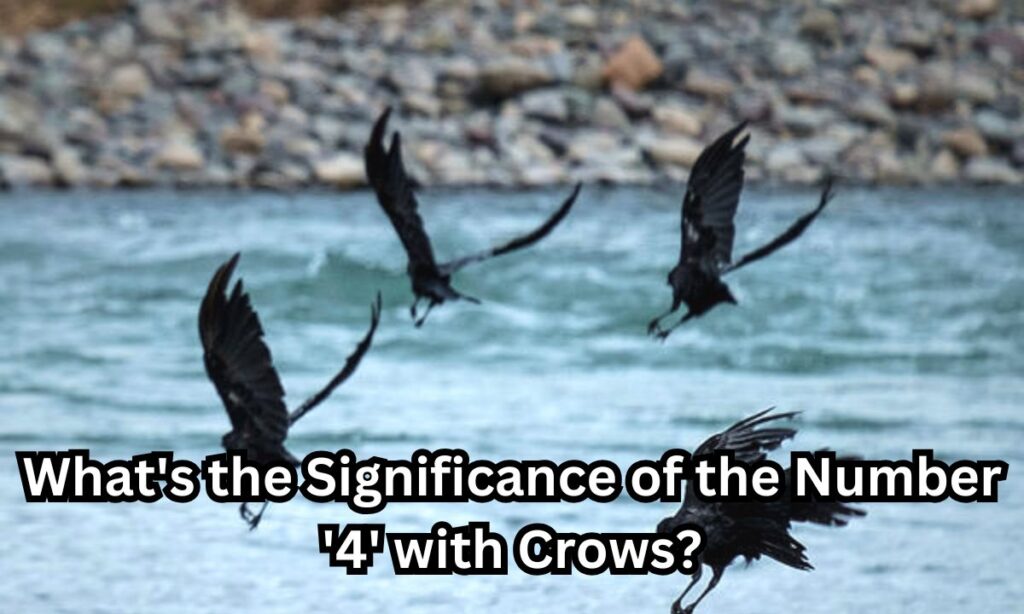 What's the Significance of the Number '4' with Crows?