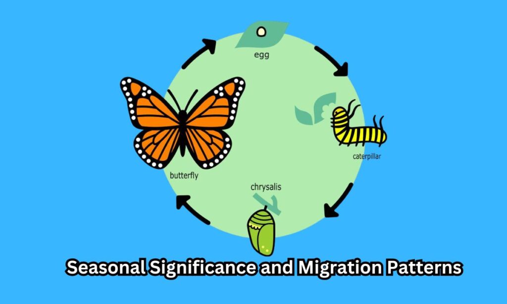 Seasonal Significance and Migration Patterns