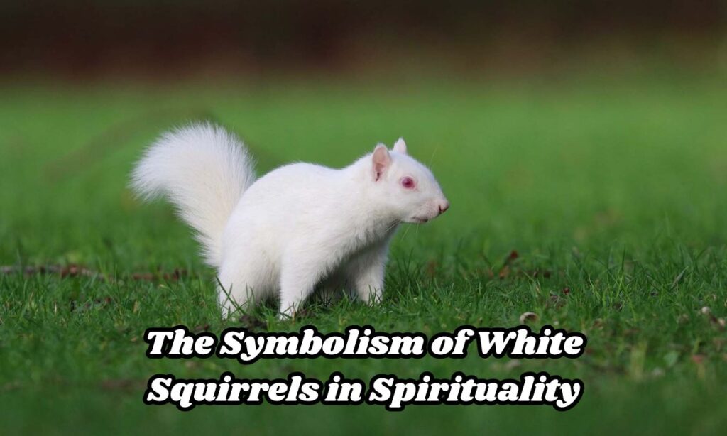 The Symbolism of White Squirrels in Spirituality