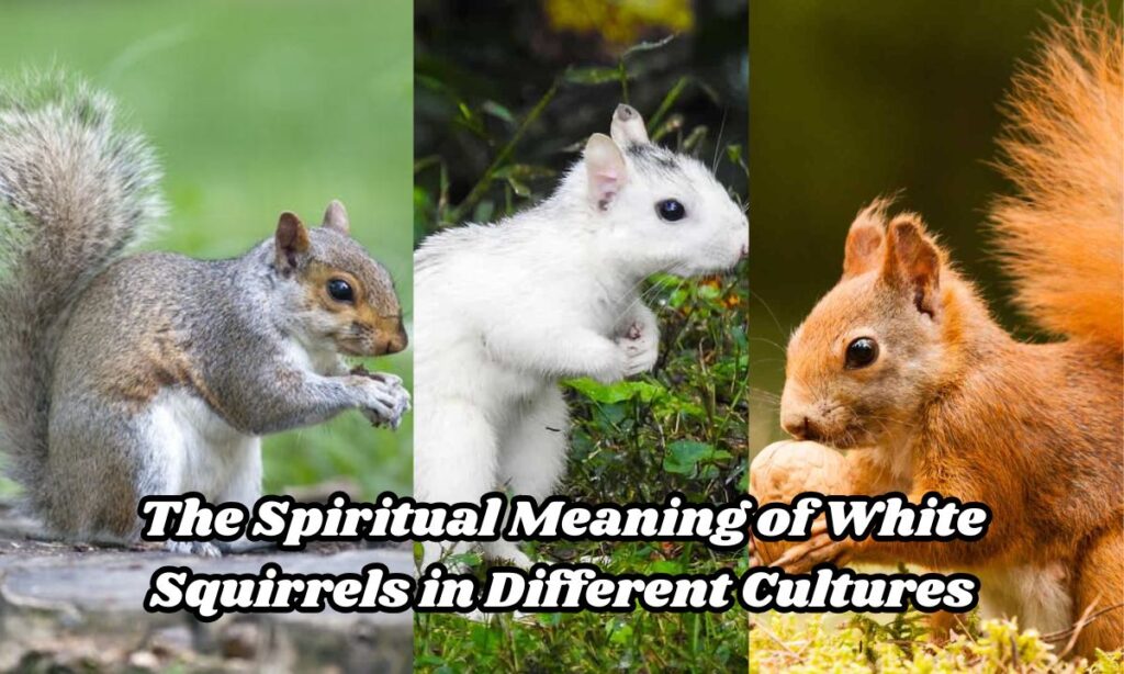 The Spiritual Meaning of White Squirrels in Different Cultures