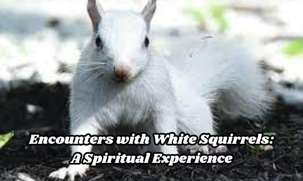 Encounters with White Squirrels: A Spiritual Experience